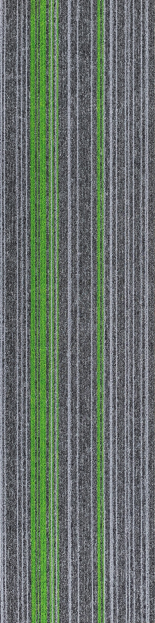 Forest 02 (2)